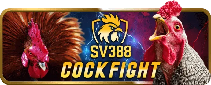 Banner khuyến mãi đăng ký 555bet Casino